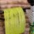 Neon Yellow