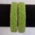 Parrot Green Square