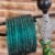 Peacock Green