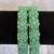 Pista Green Rose